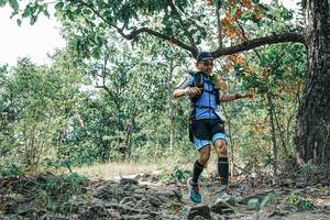 BIB: 
                            <button type="button" onclick="openModal(26090257)" class="btn btn-primary btn-sm float-right btn-popup" data-toggle="modal" data-target=".modal-high-quality">
                        <i class="fas fa-shopping-cart"></i> Add to Cart
                    </button>
                                            <button type="button" onclick="isThisMe(26090257, true)" class="btn btn-success btn-sm float-right btn-popup btn-isme hidden" data-toggle="tooltip" data-placement="bottom" title="นี่คือรูปของคุณใช่ไหม คลิกที่นี่เพื่อเอาเข้าอัลบั้ม">
                        <i class="fas fa-plus"></i> Add to album
                    </button>
                    <button type="button" onclick="isThisMe(26090257, false)" class="btn btn-warning btn-sm float-right btn-popup btn-isnotme hidden">
                        <i class="fas fa-ban"></i> Remove from album
                    </button>